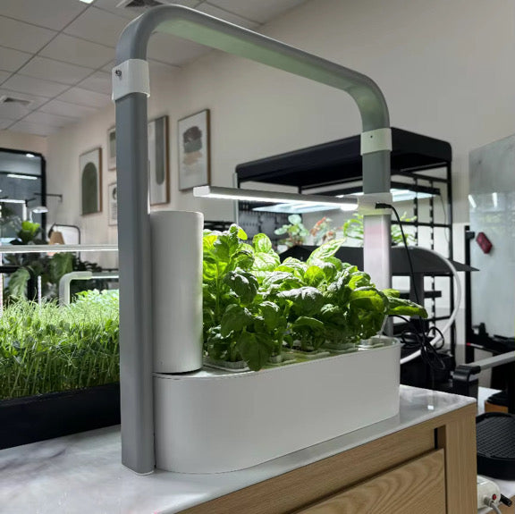 Hydroponic Smart Planter