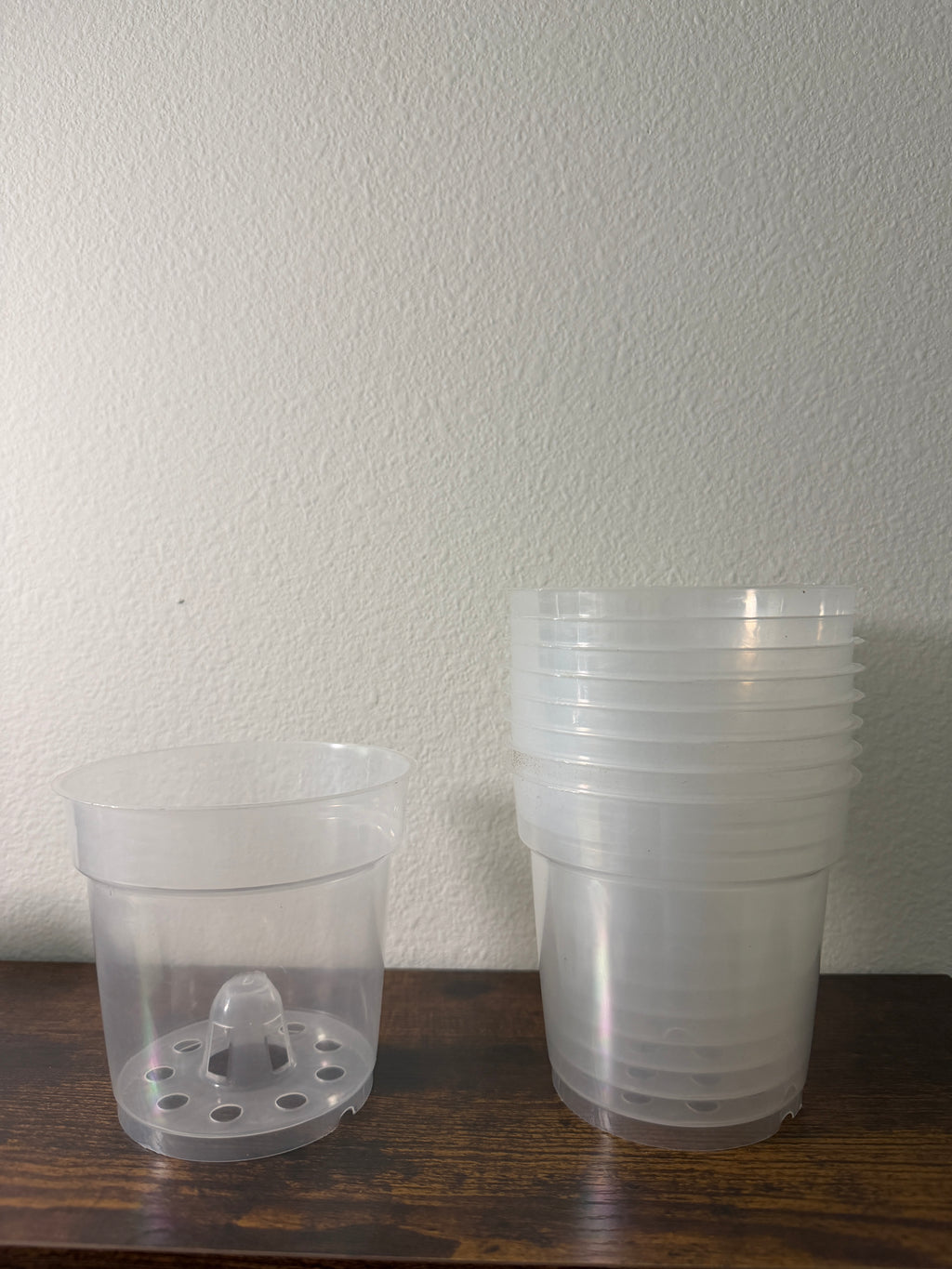Clear Orchid Pot with Elevated Drainage Cone